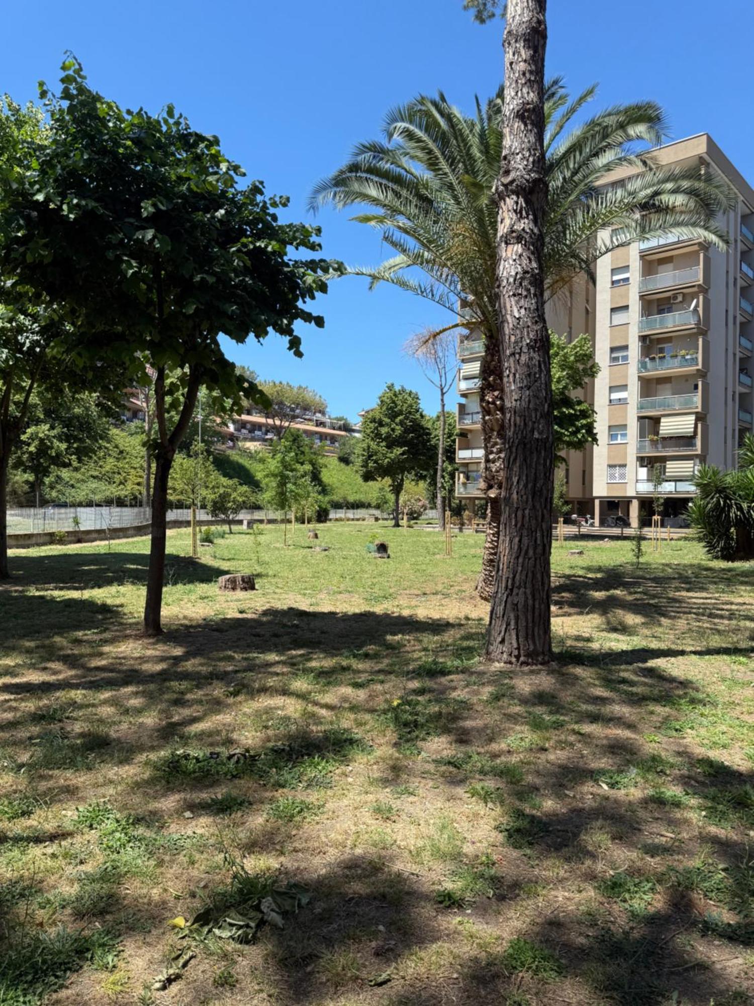 Zona Torrino Apartamento *